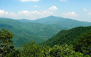 Cold Mountain-27527