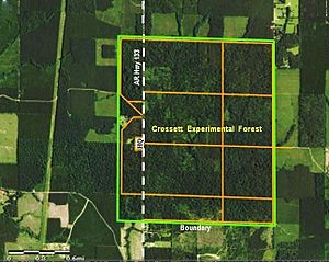 Crossett Experimental Forest Layout