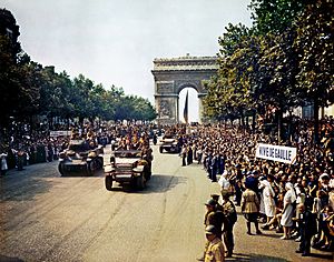 Crowds of French patriots line the Champs Elysees-edit2