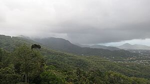 Daintree Rainforest, Queensland (483846) (9443587804)