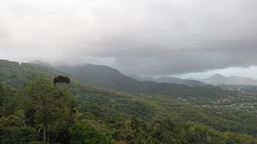 Daintree Rainforest, Queensland (483846) (9443587804)