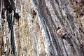 Ethan Pringle - Spicy Dumpling (5.14d) White Mountain - Yangshuo, China