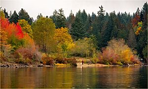 Fall colours at Sproat Lake.jpg