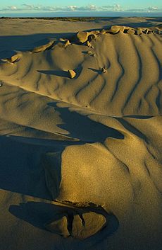Farewell Spit sand dunes