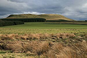 Farmland near Hazelberry - geograph.org.uk - 1242145