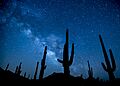 February -conservationlands15 Social Media Takeover- Top 15 Places on National Conservation Lands for Night Sky Viewing (16358796247)