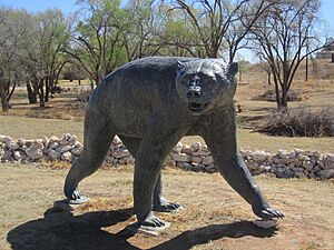 Giant short-faced bear at Lubbock Lake Landmark IMG 1587
