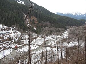 Gold Creek valley, AK