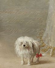 Goya Alba1, Detail