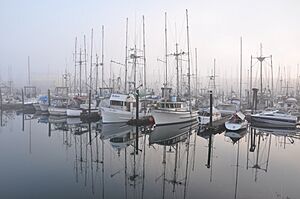 Granville Island Marina