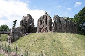 Grosmont Castle from the east, 2011