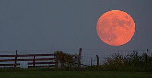 Harvest moon
