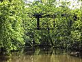 Jackson Branch Bridge No 15