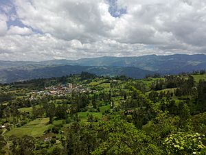 View of Junín