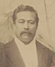 L. W. P. Kanealii (1893 crop).jpg