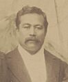 L. W. P. Kanealii (1893 crop)