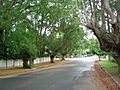 Laurel Avenue Chelmer Queensland