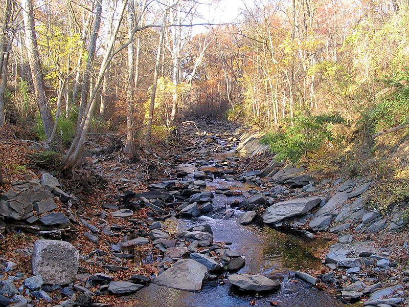 Little Falls Branch, Brookmont MD