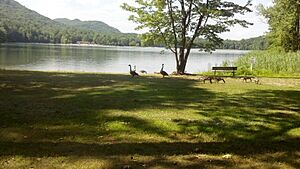Moreau Lake Birds