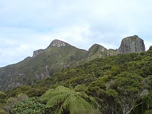 Mount Hobson Great Barrier Island
