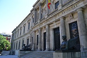 Museo Arqueológico Nacional (35039235760).jpg