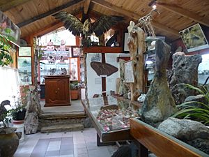 Museo Lago Gutiérrez