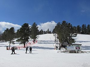 Nashoba Valley Ski Area, Westford MA