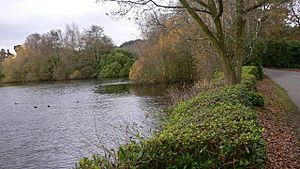 Northeast portion of Folly Pond - geograph.org.uk - 1054132.jpg