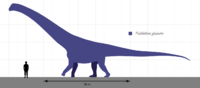 Nullotitan Size Comparison.svg