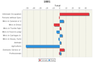 Occupational Chart