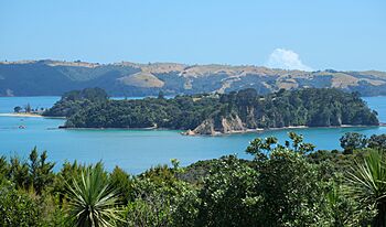 Pakatoa Island from Rotoroa Island.jpg