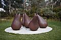 Parkes - BIG Pears