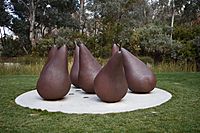 Parkes - BIG Pears.jpg