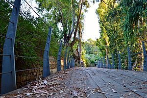 Pedieos river walking routes Green leaf Nicosia Republic of Cyprus