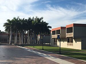 Pei Dorms at the New College of Florida