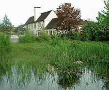 Plough pond old malden