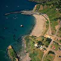1990 Aerial view of Port Orford