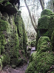 Puzzlewood (Andy Dingley)