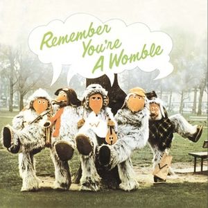 Remember You're A Womble (album).jpg