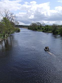 River Shannon from Drumsna bridge