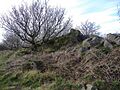 Rock outcrop on Bardon Hill - geograph.org.uk - 347974
