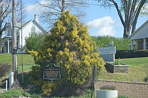 Rockport Tavern site