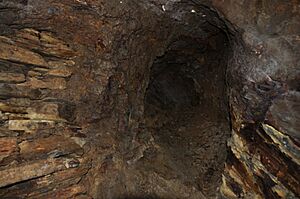 Roman workings at Dolaucothi mine (8745).jpg