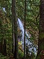 Rufus Creek Falls in Lookout Mountain Preserve, Sudden Valley, WA