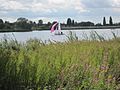 Sailing boat on Brent Reservoir from Welsh Harp Open Space