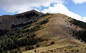 Sierra Blanca Peak 2