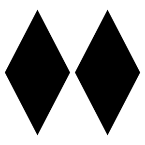Ski trail rating symbol-double black diamond