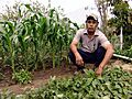 South Central Farm 4