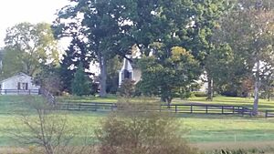Springview Farm (Lexington, Kentucky)