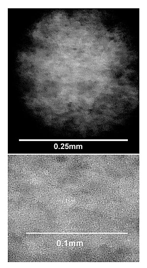 Structure of a holographic recording